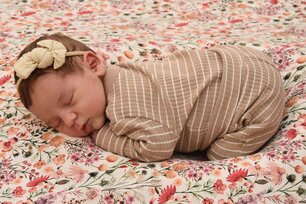 Johanna Maria Schwenner