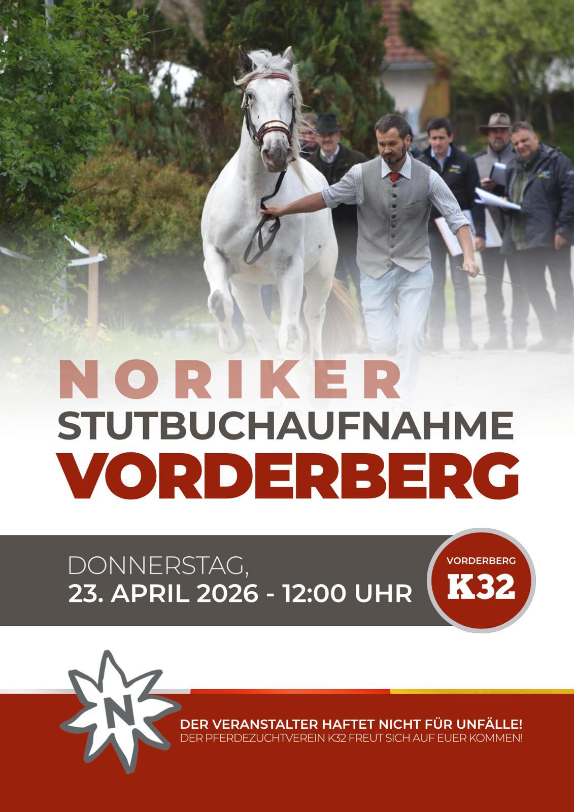 Noriker Stutbuchaufnahme in Vorderberg